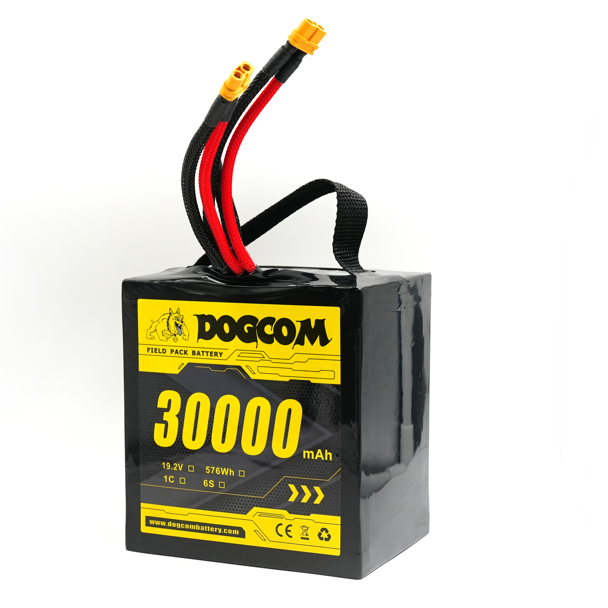DOGCOM 30000mAh 1C 6S 19.2V LifePO4