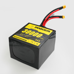 DOGCOM 30000mAh 1C 6S 19.2V LifePO4
