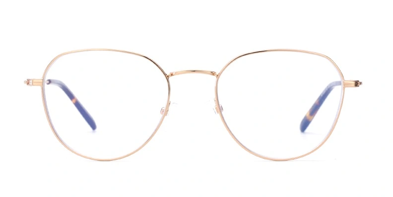 Alloy Optical Eye Glasses Frame Anti Blue Light Blocking Computer Eyeglasses Myopia Hyperopia Presbyopia Eyewear Frame