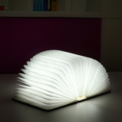 LED Book Light