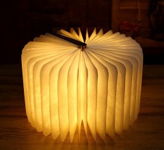 LED Book Light