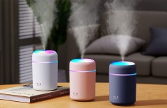 Mini Humidifier with Mood Light LD