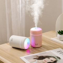 Mini Humidifier with Mood Light LD