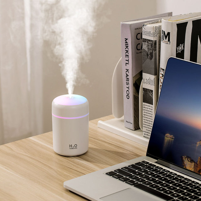 Mini Humidifier with Mood Light LD