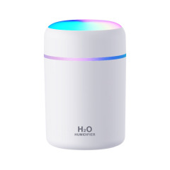 Mini Humidifier with Mood Light LD