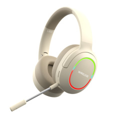 ANC Bluetooth Headphone SC