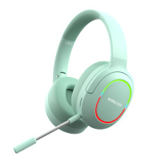 ANC Bluetooth Headphone SC