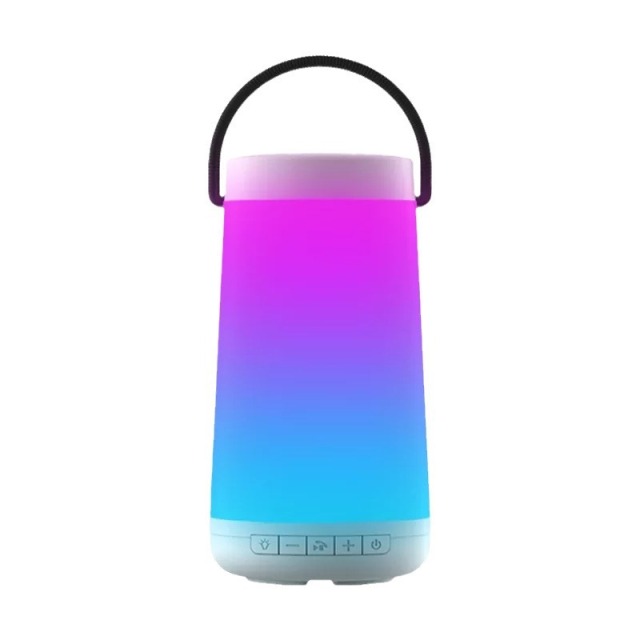 Bluetooth Speaker R21