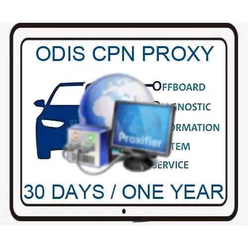 VAG ODIS CPN Proxy Geko VPN Access Service System