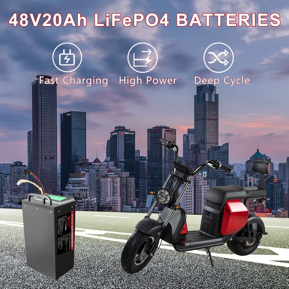 48V 20Ah Electric Bike Scooter LiFePO4  Lithium Iron Phosphate Battery