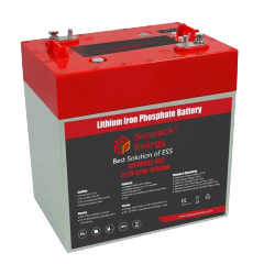 48V32Ah GC2 Deep Cycle Golf Cart LiFePO4 Lithium Cell Battery