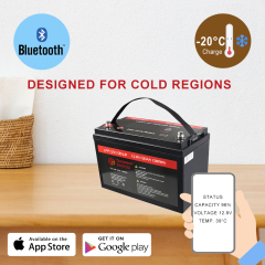 12V 100Ah Low Temperature LiFePO4 Cell Battery with Bluetooth and App