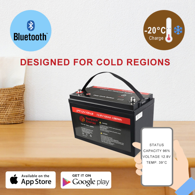 12V 100Ah Low Temperature LiFePO4 Cell Battery with Bluetooth and App