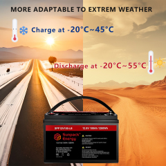 12V 100Ah Low Temperature LiFePO4 Cell Battery with Bluetooth and App
