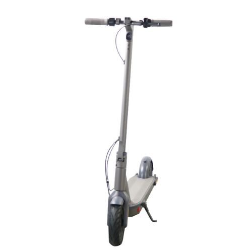 MAX 500W 36V 15AH Electric Scooter