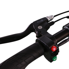 E1 500W 48V Adjustable Kick Scooter