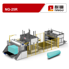 NG-25R Full Automatic Foam Block Compression And Roll Packing Machine