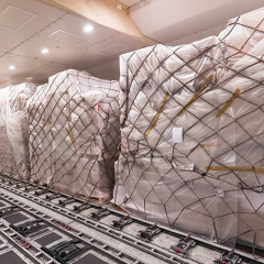 Perforated PE Sheeting On Roll