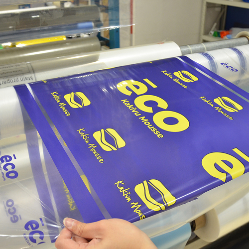 PE Printed Film