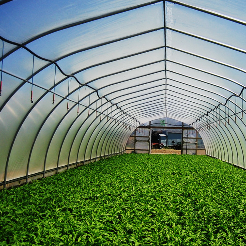 Agricultural Film & Greenhouse Use