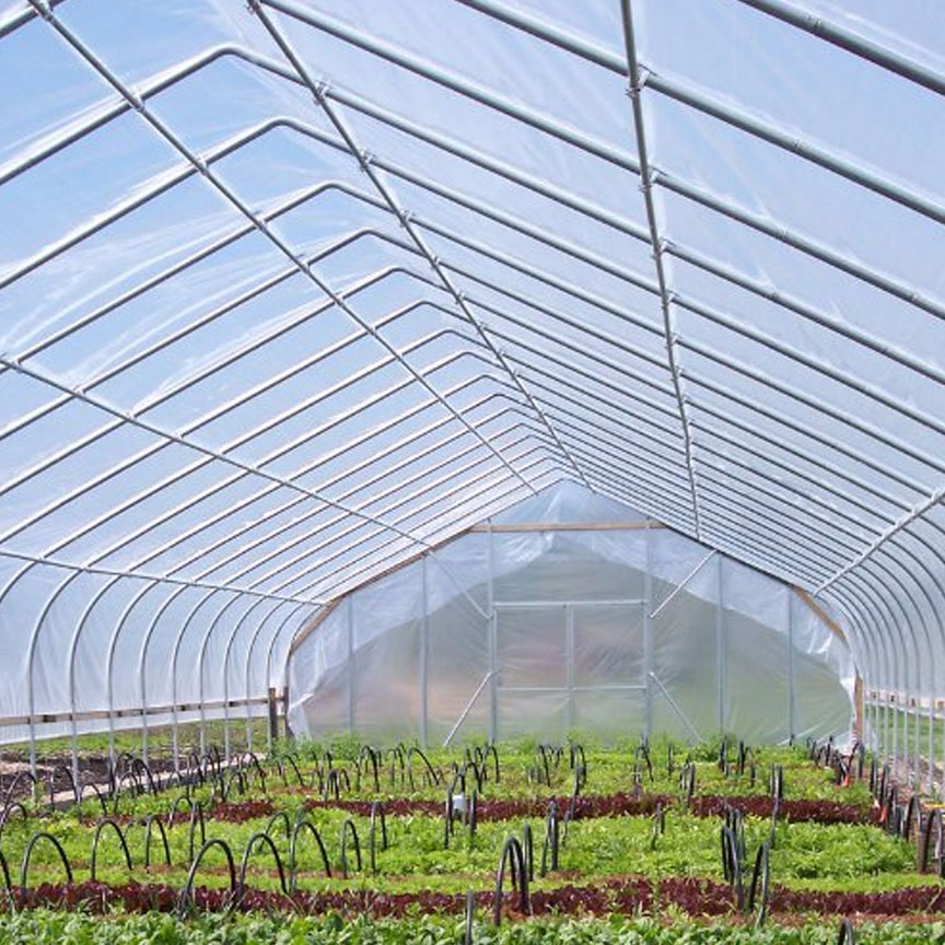 Plastic Greenhouse Film Roll
