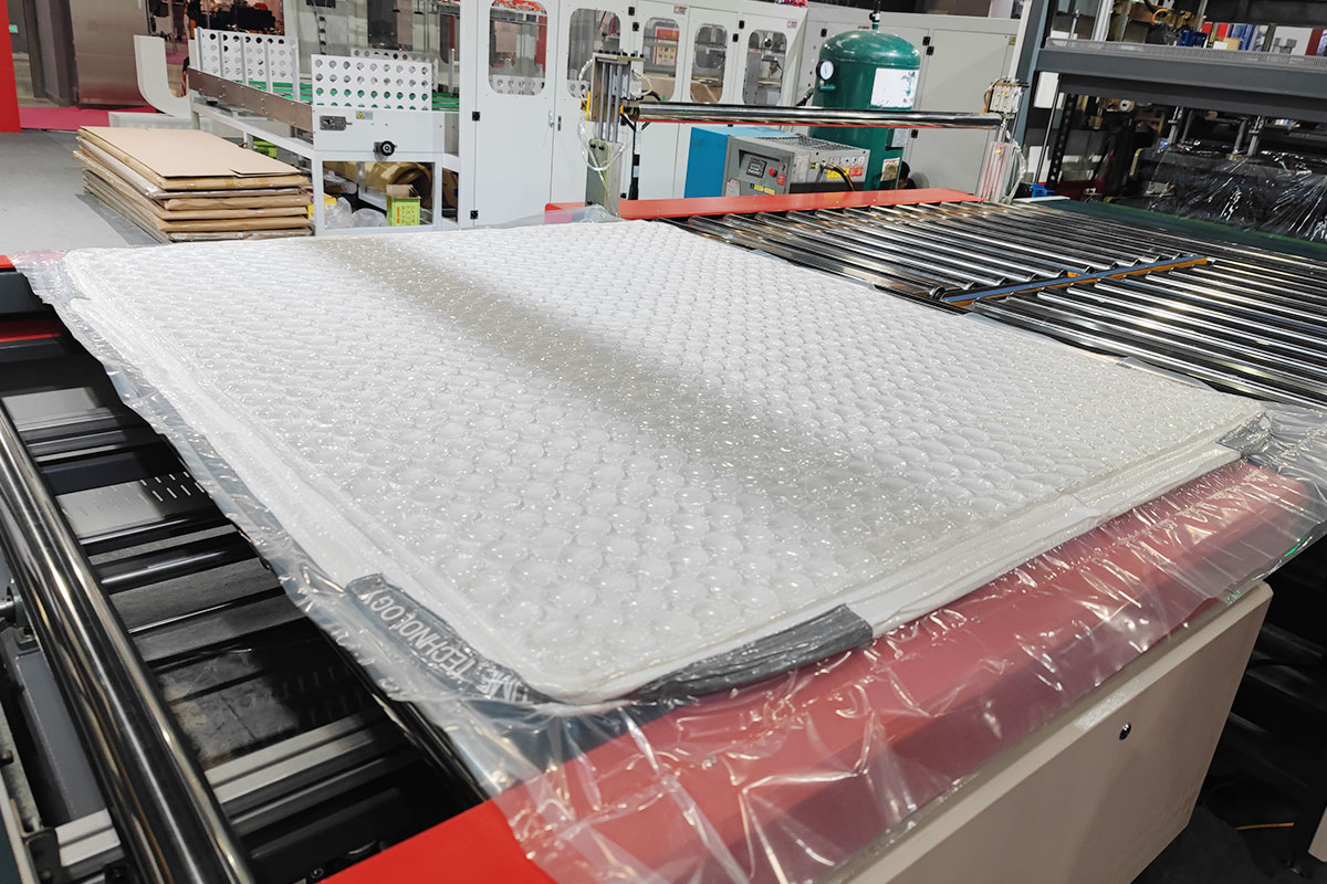 mattress vacuum bag for moving and storage