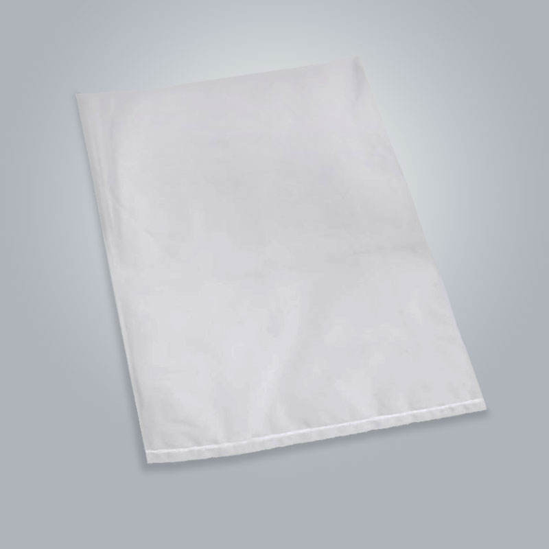 Storage Clear Plastic Flat Bag
