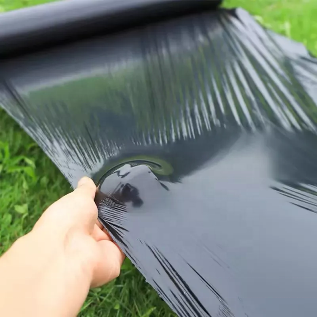 Black Agricultural PE Plastic Mulch Film Roll
