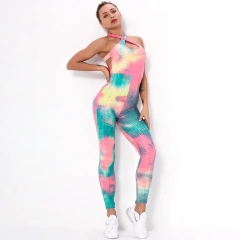 Yoga Clothing Women's One-pieces Sports Suit Set Workout Gym Jumpsuit Pants,Shuliqi Apparel - Men's Clothing Wholesale Manufacturer,Yoga Clothing Women's One-pieces Sports Suit Set Workout Gym Jumpsuit Pants