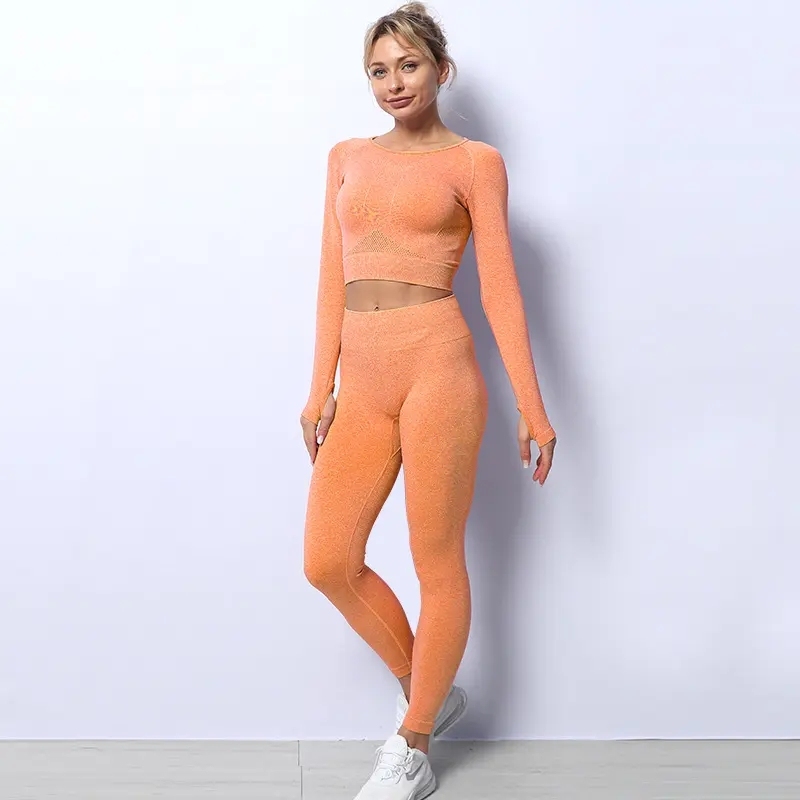 Two Pieces Yoga Set Women Clothing Long Sleeves Two Piece Outfit Women Lady Sport Suit,Shuliqi Apparel - Men's Clothing Wholesale Manufacturer,Two Pieces Yoga Set Women Clothing Long Sleeves Two Piece Outfit Women Lady Sport Suit