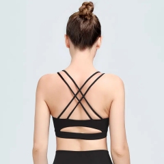 Backless Padded Sports Seamless Shockproof Running Fitness Underwear Yoga Bra For Women,Shuliqi Apparel - Men's Clothing Wholesale Manufacturer,Backless Padded Sports Seamless Shockproof Running Fitness Underwear Yoga Bra For Women