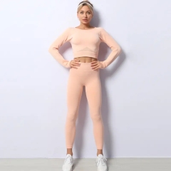 Two Pieces Yoga Set Women Clothing Long Sleeves Two Piece Outfit Women Lady Sport Suit,Shuliqi Apparel - Men's Clothing Wholesale Manufacturer,Two Pieces Yoga Set Women Clothing Long Sleeves Two Piece Outfit Women Lady Sport Suit