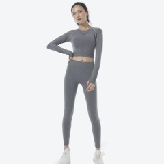 Two Pieces Yoga Set Women Clothing Long Sleeves Two Piece Outfit Women Lady Sport Suit,Shuliqi Apparel - Men's Clothing Wholesale Manufacturer,Two Pieces Yoga Set Women Clothing Long Sleeves Two Piece Outfit Women Lady Sport Suit