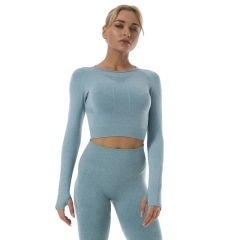 Two Pieces Yoga Set Women Clothing Long Sleeves Two Piece Outfit Women Lady Sport Suit,Shuliqi Apparel - Men's Clothing Wholesale Manufacturer,Two Pieces Yoga Set Women Clothing Long Sleeves Two Piece Outfit Women Lady Sport Suit