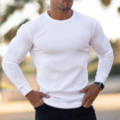 High Quality Custom screen printing t shirt Logo Plain Cotton Blend Round Neck Sportswear design Long Sleeve men T Shirt,Shuliqi Apparel - Men's Clothing Wholesale Manufacturer,High Quality Custom screen printing t shirt Logo Plain Cotton Blend Round Neck Sportswear design Long Sleeve men T Shirt | Wholesale Men's Apparel | OEM | Shuliqi