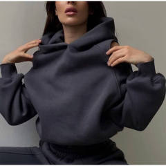 Plus Size Sportswear Women Joggers Suits Set Gym Clothing Workout Sweatpants and Hoodie Set,Shuliqi Apparel - Men's Clothing Wholesale Manufacturer,Plus Size Sportswear Women Joggers Suits Set Gym Clothing Workout Sweatpants and Hoodie Set