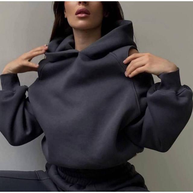 Plus Size Sportswear Women Joggers Suits Set Gym Clothing Workout Sweatpants and Hoodie Set,Shuliqi Apparel - Men's Clothing Wholesale Manufacturer,Plus Size Sportswear Women Joggers Suits Set Gym Clothing Workout Sweatpants and Hoodie Set