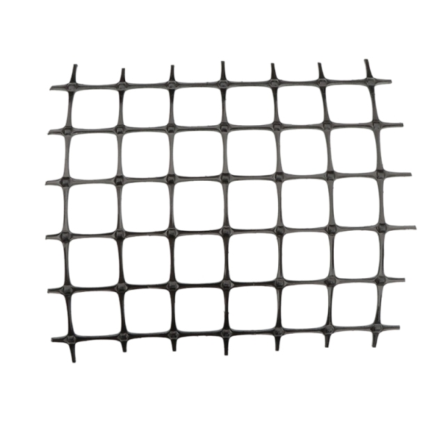 Double Plastic Geogrid