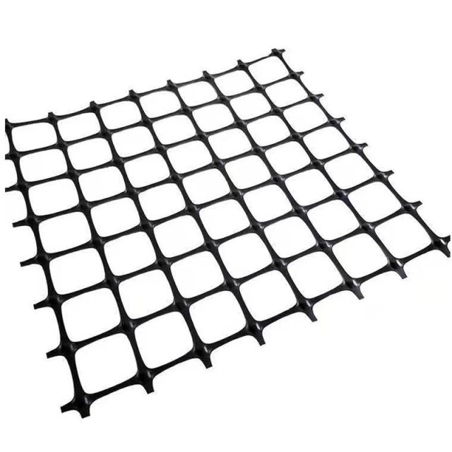 Double Plastic Geogrid