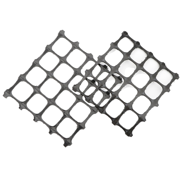 Double Plastic Geogrid