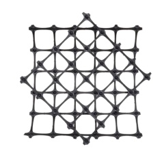 Double Plastic Geogrid