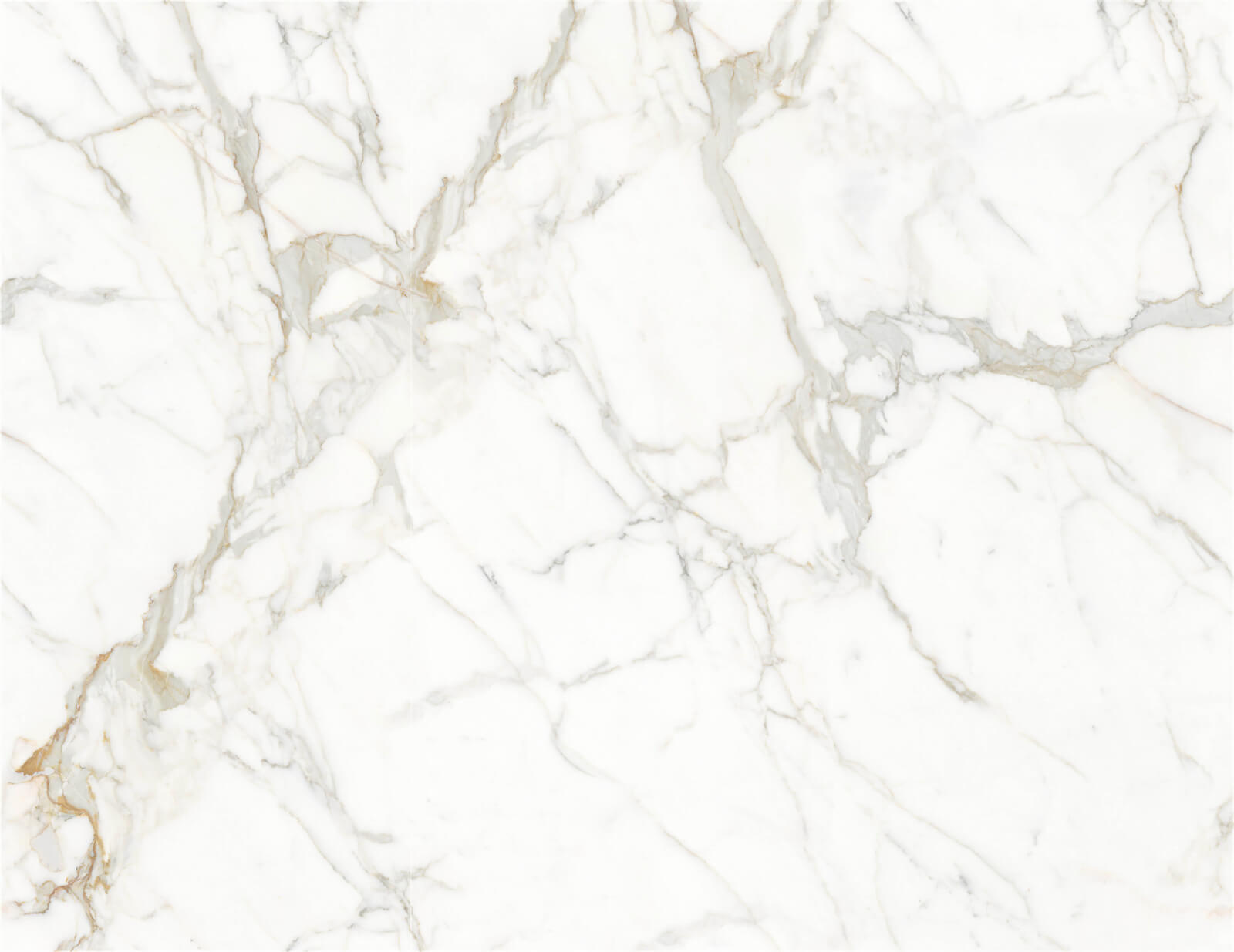 Calacatta Gold