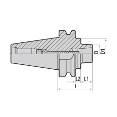 BT-DSF Shrink Fit Holder