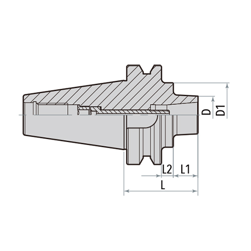 BT-DSF Shrink Fit Holder