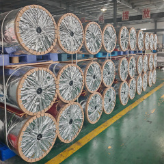 Foaming Paper - Meet in Packaging and Protective Materials