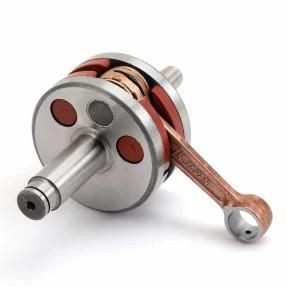 Motorsurfie Crankshaft