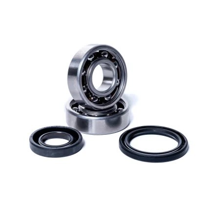 Motorsurfie krankshaft bearings kit