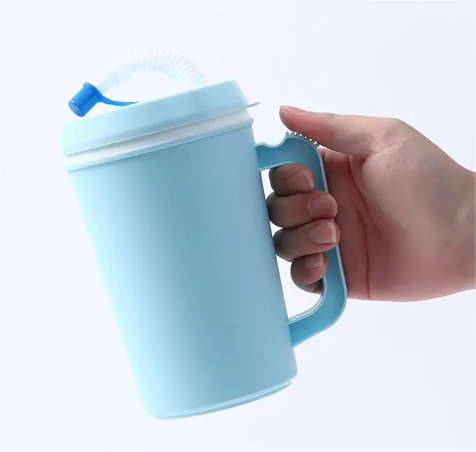 NEW China RTS 650ml PP Double Walled Cup with Straw Free Shipping (30PCS/60PCS)