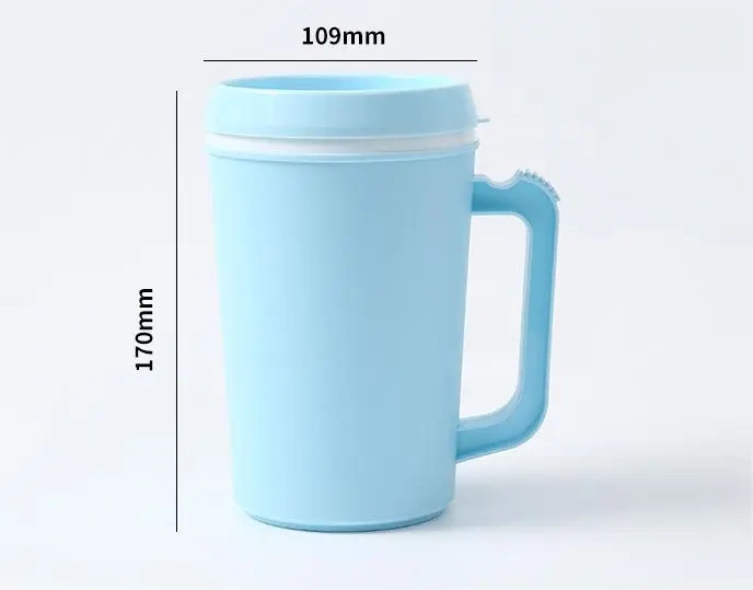 NEW China RTS 650ml PP Double Walled Cup with Straw Free Shipping (30PCS/60PCS)