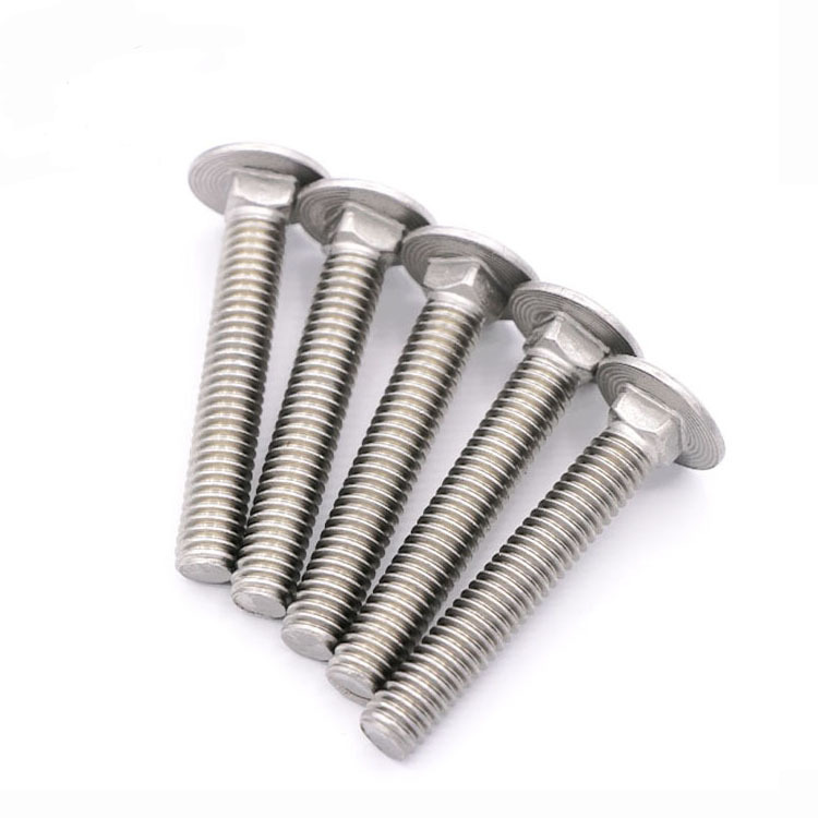 Stainless Steel Carriage Bolts